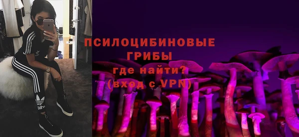 спиды Касимов