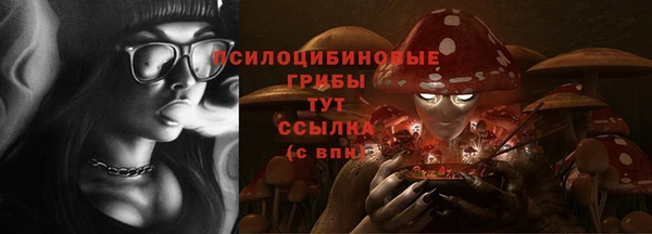 сатива Абаза