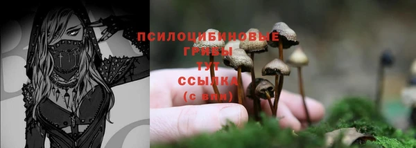 MESCALINE Карталы