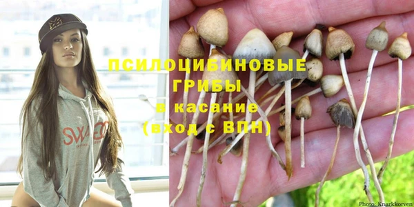 молекула духа Алзамай
