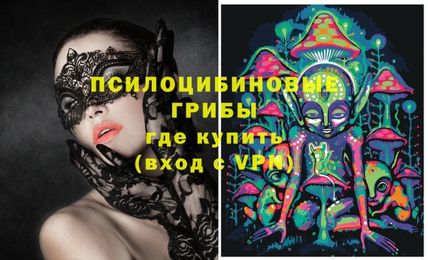 молекула духа Алексеевка